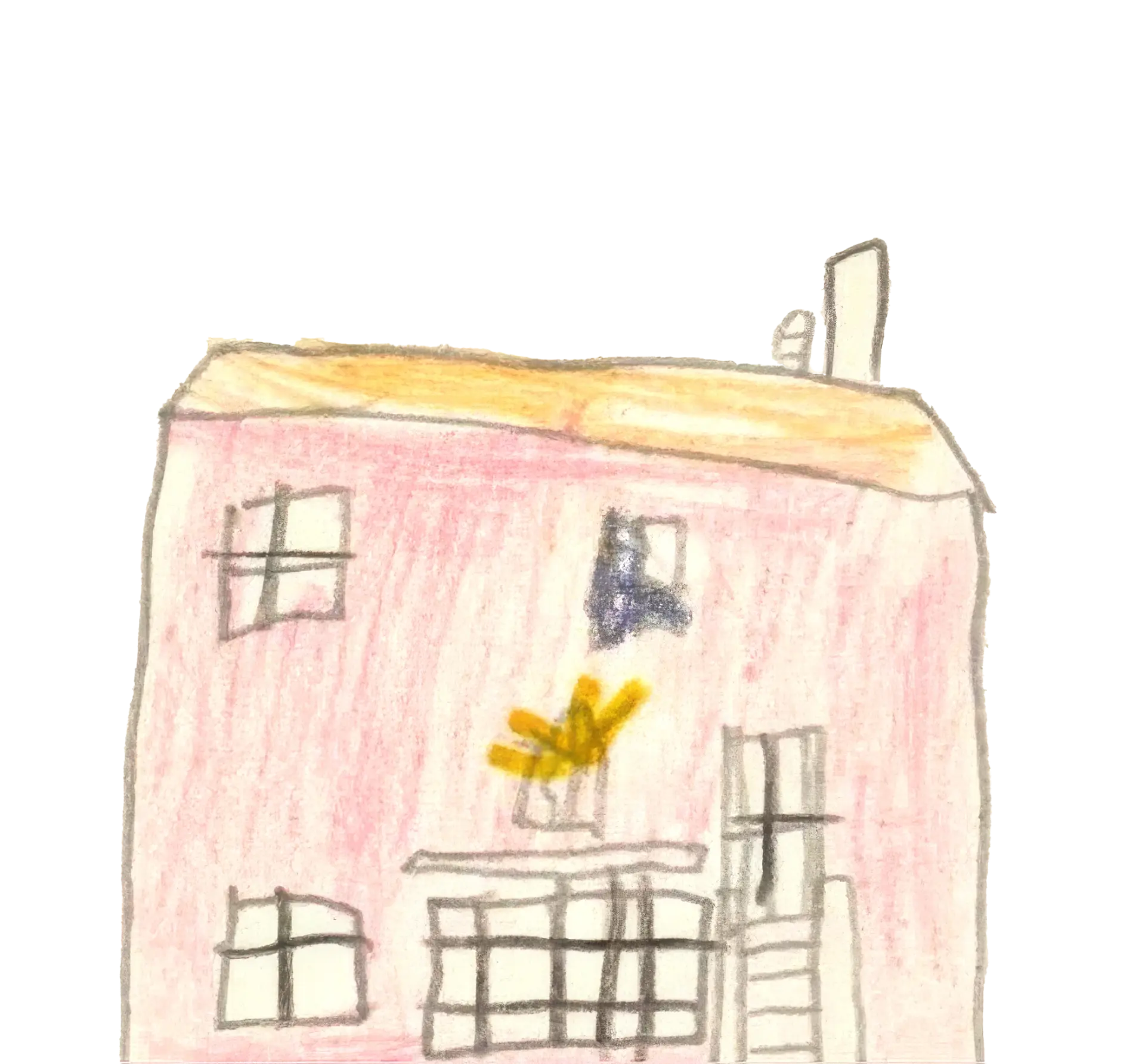 Pink House illustration